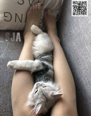 蜜桃传媒星空传媒果冻传媒_高清视频大全